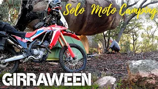Girraween - Solo Motor Camping - CRF 300 Rally