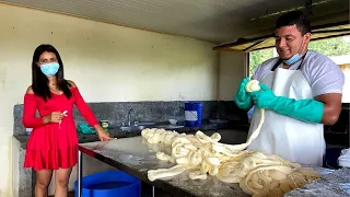 Así se hace el queso palmito en Costa Rica