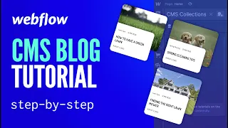 Building a Webflow CMS Blog | Step-By-Step