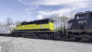 NS 11Z with Susquehanna SD33ECO OLS