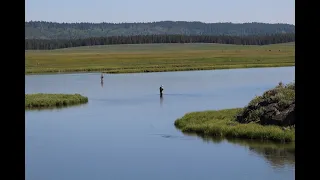 Fly Fishing Henry's Fork of the Snake River in Idaho for Trophy Trout at Harriman State Park - Day 1