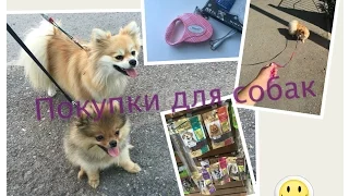 Покупки для собак из зоомагазина