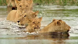 Okavango River of Dreams. Chapter 1: PARADISE