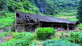 Three boys took their Luggage and Renovated a wooden House in the Forest ~ A beautiful Building