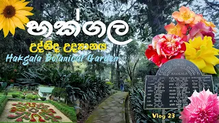 Hakgala Botanical Garden | හක්ගල උද්භිද උද්‍යානය | Nuwaraeliya Sri Lanka #hakgala #nuwaraeliya