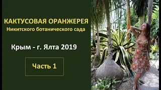 Ботанический сад [Часть 1] Крым г. Ялта / Кактусы  ( 2019)