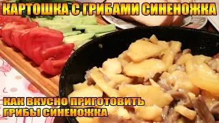 Картошка с грибами Синеножка или Рядовка,как вкусно пожарить картошечку с грибочками