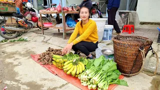 Harvest banana, green vegetables, ginger bringing to the Market for Sale | Ly Thi Tam