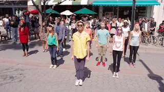 A Flash Mob named BOB