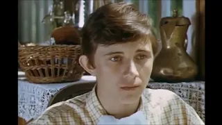 Тимур и его команда (1976).  Отрывок.  Мишка Квакин.