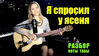 Я спросил у ясеня, где моя любимая | На гитаре | Ноты Табы Разбор