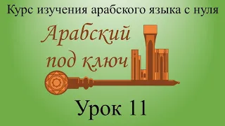 Урок 11. Правильное множественное число.