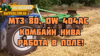 Видео от подписчика! Комбай Нива, Минитрактор DW 404AC, МТЗ 80. Работа в поле!