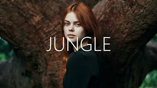 Alok, The Chainsmokers & Mae Stephens - Jungle (Lyrics)