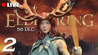 DLC Elden Ring มาตอนไหนไม่รู้แต่ฟรุ้งฟริ้งซ์วอร์มรอแล้ว 2