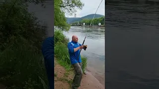 Зачётный Сомик.Рыбалка на Сома весной. 8 Мая 2022.река Майн.