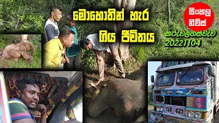 Lorry elephant accident මොහොතින් ජීවිතය උදුරා ගත් රිය අනතුර Sinhalanews news Gossip topnews