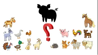 Teaching animals using the Montessori system 🐖🐏 Educational cartoons for children