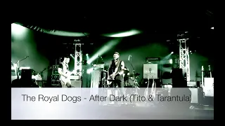 The Royal Dogs - After Dark (Tito & Tarantula)