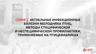 Джавадов Э.Д.: Инфекционные болезни молодняка птиц. Методы профилактики.