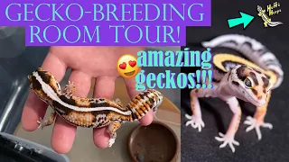 I TOURED A GECKO BREEDER'S FACILITY | Huff's Herps
