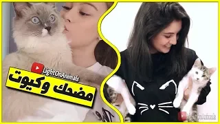 قطط مضحكة جداً - اضحك مع القطط حتي البكاء 😂 #5 (NEW)