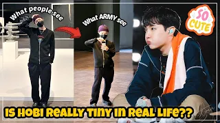 Tiny Hobi vs Tall Hoseok | j-hope Height