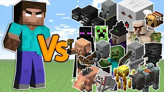 HEROBRINE vs All Minecraft Mobs Combined Fight in Minecraft #mobbattle #minecraft #24x7live #horsy