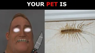 YOUR PET IS (Mr Incredible becoming scared)