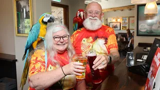 Couple take pet parrots to the shops, opticians - and even pub lunches | SWNS