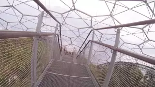 Rainforest Canopy Walkway at Eden Project