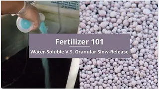 Understanding Fertilizer: Water-Soluble V.S. Granular Slow-Release