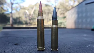 Testing effect on REAL DEER shoulders (7mm Rem Mag & .358 Win)