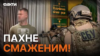 🤯 ОБОРУДКА у 100 МІЛЬЙОНІВ! До міськради МУКАЧЕВА завітали СБУ та НАБУ