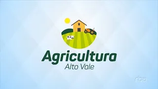 Agricultura Alto Vale – Ed. 18/05/2024
