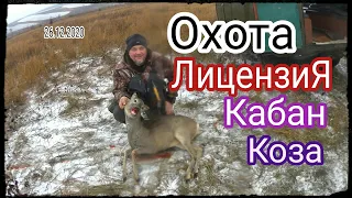 Лицензионная Охота на Кабана и Косулю.Загонная Охота.Охота в Днепропетровской обл.