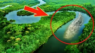 Amazon जंगल और इसकी नदी के खतरनाक रहस्य। Mystery of Amazon Rainforest in Hindi.