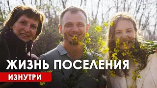 Пасека, пикник и два дня рождения. Влог Радосвета, пилотный выпуск!