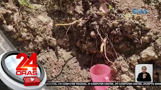 Tumutulong tubig na tila hindi raw nauubos, nadiskubre ng vlogger; kinolekta at ininom... | 24 Oras