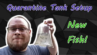 New Fish! Quarantine Tank Setup