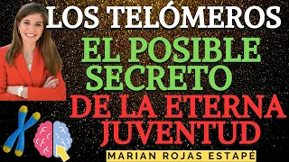 🧬🧠  Los telómeros, el posible secreto de la eterna juventud - Dra Marian Rojas Estapé