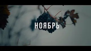 Video Portrait - Ноябрь