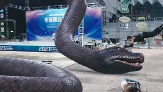 The security guards set traps with fireworks and gasoline to burn the giant snake to death!