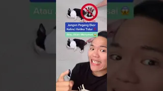 Jangan pegang ekor kelinci ketika tertidur ‼️ Dijamin bakal menyesal 🤮 #Shorts #YouTubeShorts