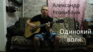 Александр Розенбаум - Одинокий волк (cover)