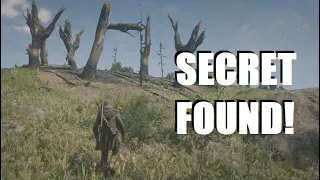 Hidden Message SECRET FOUND and Mysterious Trees in Red Dead Redemption 2!