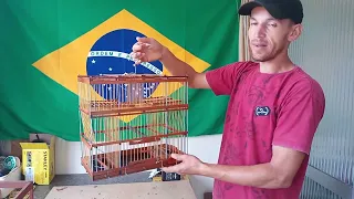 Gaiola de 4 alçapão veja a diferença muito orgulho dessa bandeira