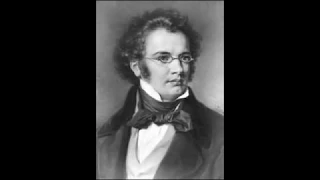 Schubert   Symphony No  8 Unfinished I  Allegro moderato HQ (first part)