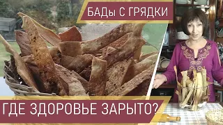 Хрустящие 🌿хлебцы с прованскими травами🌼.Без дрожжей.🥚Без яиц. Супер полезные