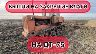 ДТ-75 на закрытии влаги. НАКОНЕЦ-ТО ВЫШЛИ В ПОЛЕ!!!